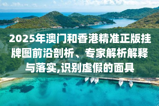 2025年澳門(mén)和香港精準(zhǔn)正版掛牌圖前沿剖析、專(zhuān)家解析解釋與落實(shí),識(shí)別虛假的面具